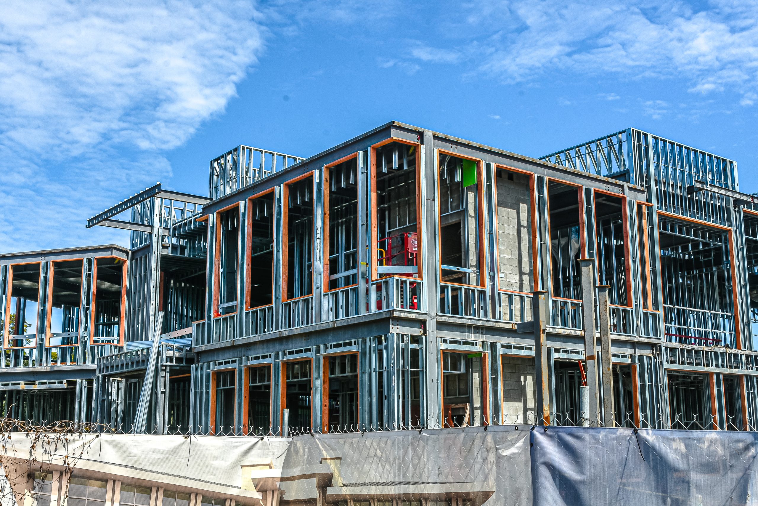 mediterranean shipping company